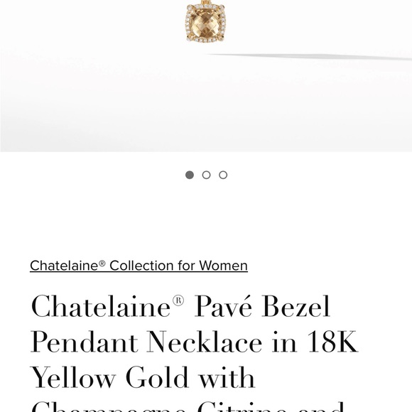 David Yurman Chatelaine® Pavé Bezel Pendant Necklace. - Picture 3 of 4